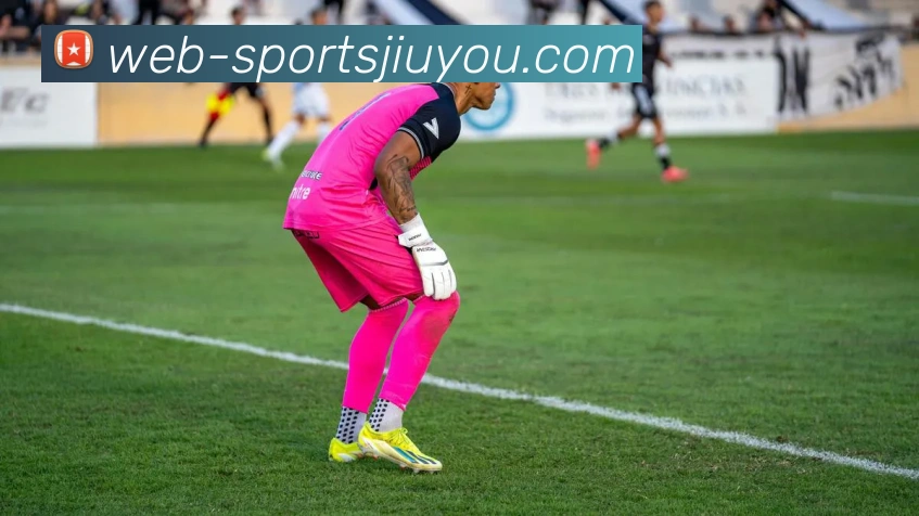 九游娱乐平台生态图